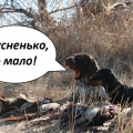 Так оно и есть