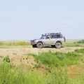 Антилопа