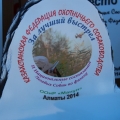 За лучший выстрел!