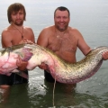 Трофейный сом на капчагайском водохранилище