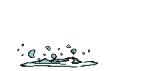 fish6